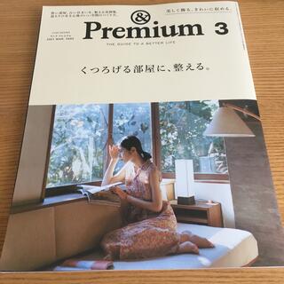 &Premium (アンド プレミアム) 2021年 03月号 雑誌(結婚/出産/子育て)