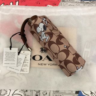 コーチ(COACH)のCOACH X PEANUTS コーチ スヌーピー  折りたたみ　傘(傘)