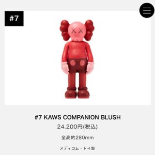 kaws companion blush(その他)