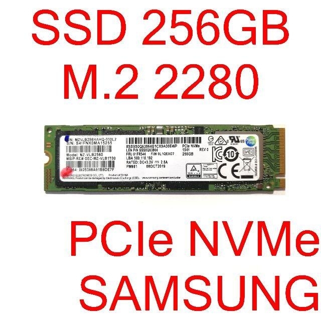 SSD 256GB M.2 PCIe NVMe 正常 [SSDMP#3]