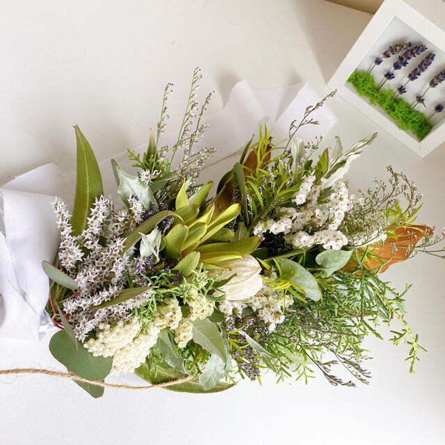 ドライフラワー 白樺 スワッグ 横長スワッグ White&green ドライフラワー 白樺 スワッグ 横長スワッグ White&green