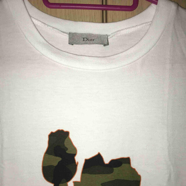 正規 Dior Homme ディオールオム デザートローズ Tシャツ | www