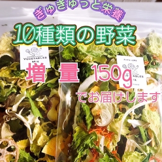 新鮮野菜【10種類の乾燥野菜おまかせMIX】75g×2袋  農薬不使用(野菜)