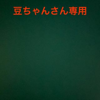 ポケモン(ポケモン)の専用(その他)