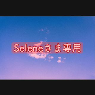 シャイニー(SHINee)のSeleneさま専用(アイドルグッズ)