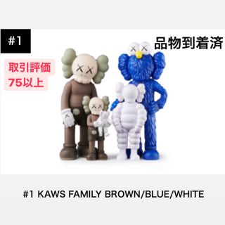 メディコムトイ(MEDICOM TOY)のKAWS FAMILY BROWN/BLUE/WHITE(その他)