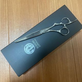 シザーズジャパン 6.5インチ CTNSD ダブルベアリング LSBS加工の通販