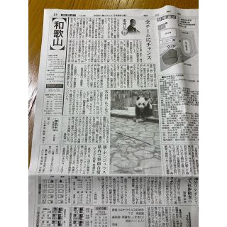 7/8 アドベンチャーワールド　楓浜　パンダ　2枚セット(印刷物)
