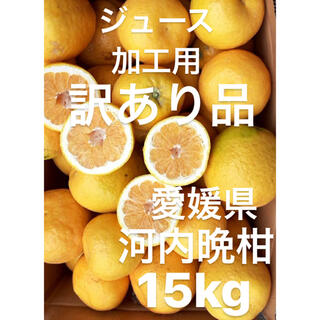 訳あり品　愛媛県　宇和ゴールド　河内晩柑　ジュース用　加工用　15kg(フルーツ)