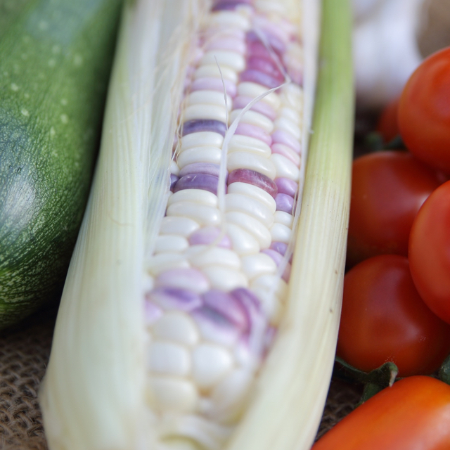 朝取れ　固定種のおまかせ野菜セット 食品/飲料/酒の食品(野菜)の商品写真