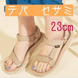 テバ(Teva)のテバ　23cm ハリケーン　セサミ(サンダル)