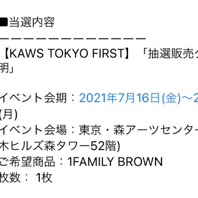 専用　kaws tokyo first kaws family brown 当選