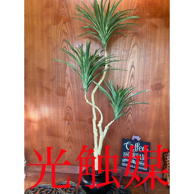 光触媒　人工観葉植物　ウォールグリーン　造花　インテリア　コンシンネ125