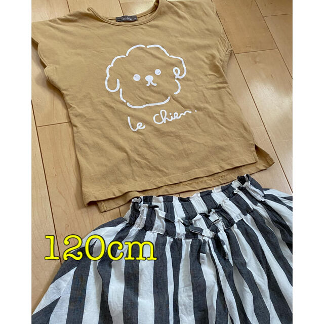 nicohrat(ニコフラート)の☆お値下げ 上下セット コーデセット Tシャツ ニコフラート  120cm キッズ/ベビー/マタニティのキッズ服女の子用(90cm~)(Tシャツ/カットソー)の商品写真