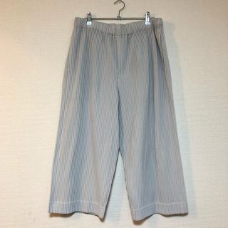 イッセイミヤケ(ISSEY MIYAKE)のissey miyake homme plisse サイズ3(その他)