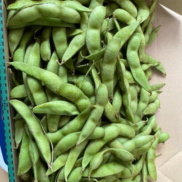 兵庫県丹波市産　黒枝豆　2キロ 食品/飲料/酒の食品(野菜)の商品写真