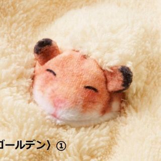 フェリシモ(FELISSIMO)の新品　YOU+MORE! フェリシモ　おがくずに埋もれて眠るハムスターのハンカチ(ハンカチ)