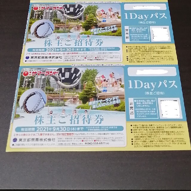 １Dayパス　２枚　東京サマーランド　株主優待