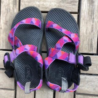 チャコ(Chaco)のサイズ17cm  chaco サンダル(サンダル)