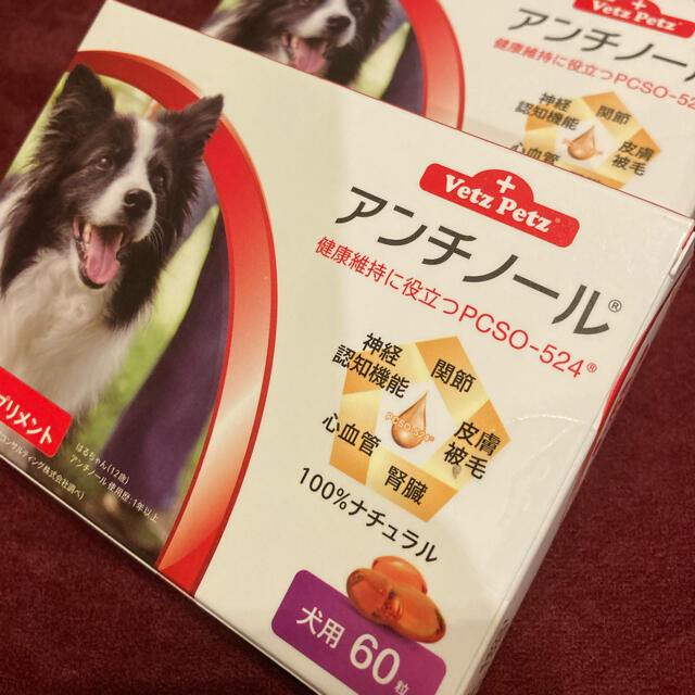 犬用アンチノール60粒入り 2箱 www.krzysztofbialy.com