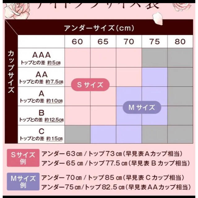 ルーナナチュラルアップナイトブラ S ブラック