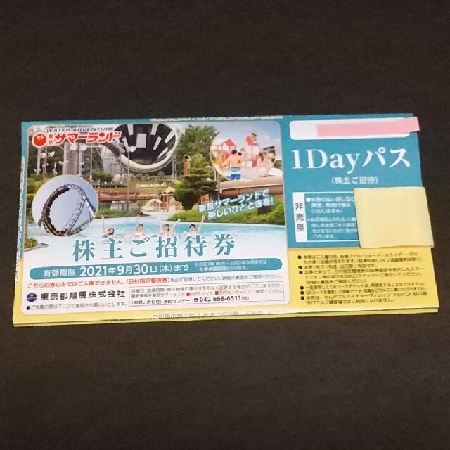 【匿名送料込】東京サマーランド　株主優待　1dayパス　2枚