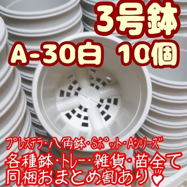 プラ鉢3号鉢【A-30】10個 他 スリット鉢 丸 プレステラ 多肉植物 ハンドメイドのフラワー/ガーデン(プランター)の商品写真