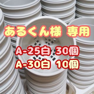 プラ鉢3号鉢【A-30】10個 他 スリット鉢 丸 プレステラ 多肉植物(プランター)