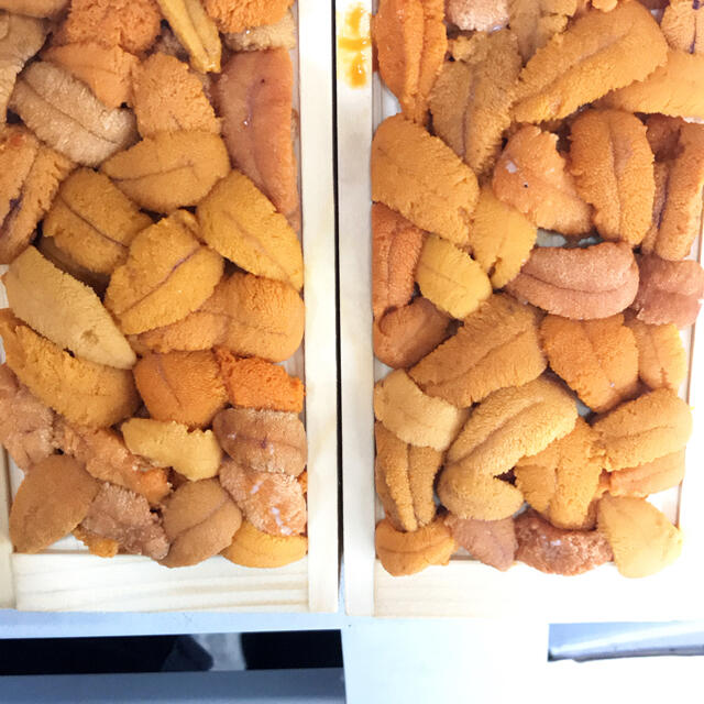 生ウニ(北海道産)ウニと言えば蝦夷馬糞ウニ！甘味あって美味しいです♪２枚セット
