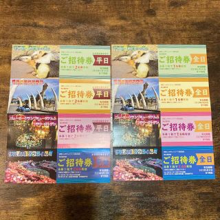 伊豆シャボテンリゾート　4施設3名無料　株主優待券(動物園)