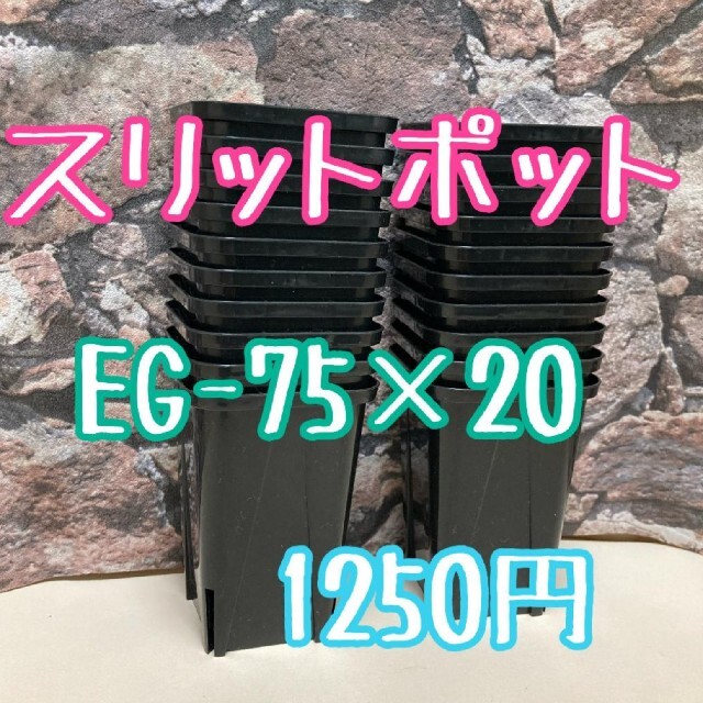 ◎20個◎ロング スリットポット EG-75L slitpot プラ鉢 ハンドメイドのフラワー/ガーデン(その他)の商品写真