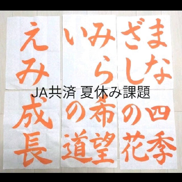 名前入り 300円 令和3年 JA共済書道コンクール お手本 1枚 習字 令和5年JA共済夏休み課題のお手本(名前、解説付)