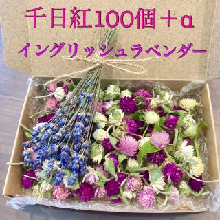 千日紅100個【茎、葉付き】＋α・イングリッシュラベンダー【ドライフラワー】(ドライフラワー)