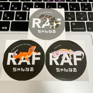 RAFチャンネルステッカー第三弾3枚セット(ステッカー（シール）)