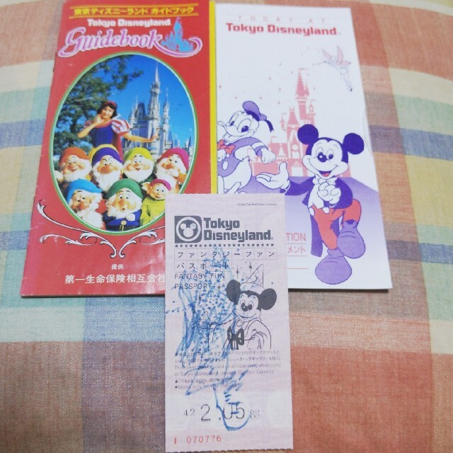 Disney(ディズニー)の東京ディズニーランドガイドブック チケットの施設利用券(遊園地/テーマパーク)の商品写真