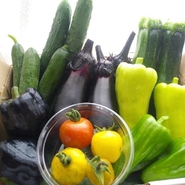 野菜詰め合わせBOX【Ｓ】(本日13時まで限定) 食品/飲料/酒の食品(野菜)の商品写真