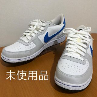 ナイキ(NIKE)の【未使用】ナイキ ターミネーター LOW(スニーカー)