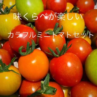ミニトマトカラフルMIX約1キロ(野菜)