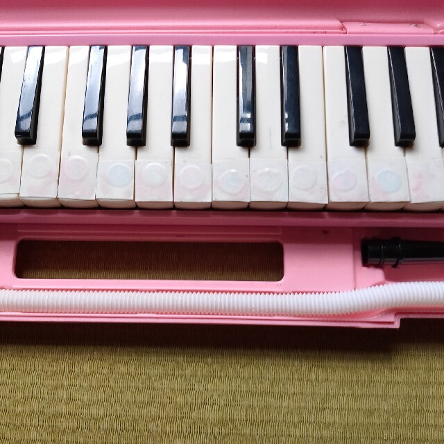 スズキ(スズキ)のSUZUKI メロディオン 鍵盤ハーモニカ　小学校教材 楽器の鍵盤楽器(その他)の商品写真