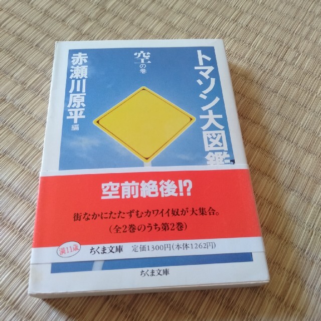 トマソン大図鑑 空の巻