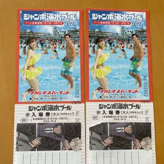 長島ジャンボ海水プール　大人2枚(プール)