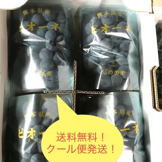 熊本県産！ニューピオーネ！種無し！約1.4キロ！約350g✖️4Ｐ入！家庭用！(フルーツ)