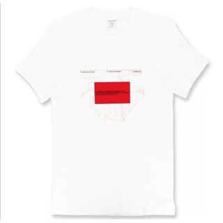 カルバンクライン(Calvin Klein)のカルバンクライン　新品　メンズ　Tシャツ(ヒップブリーフ/ホワイトS)(Tシャツ/カットソー(半袖/袖なし))