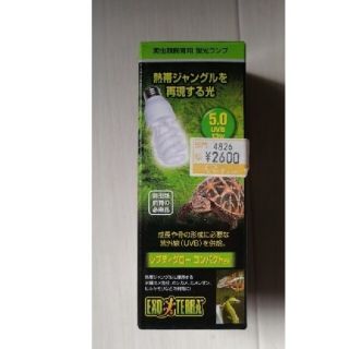 爬虫類飼育用　蛍光ランプ(爬虫類/両生類用品)