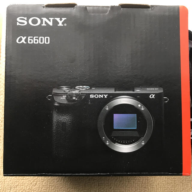 Sony α6600