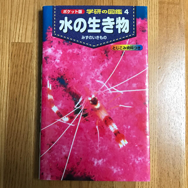 学研(ガッケン)の学研の図鑑4「水の生き物」 エンタメ/ホビーの本(絵本/児童書)の商品写真