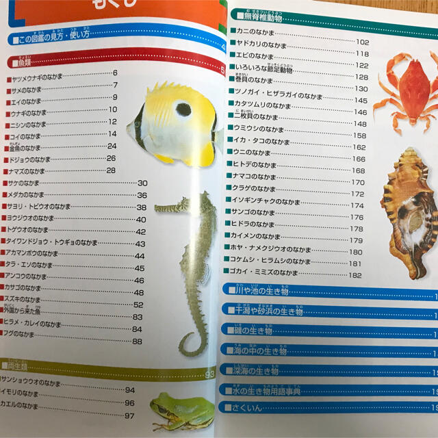 学研(ガッケン)の学研の図鑑4「水の生き物」 エンタメ/ホビーの本(絵本/児童書)の商品写真