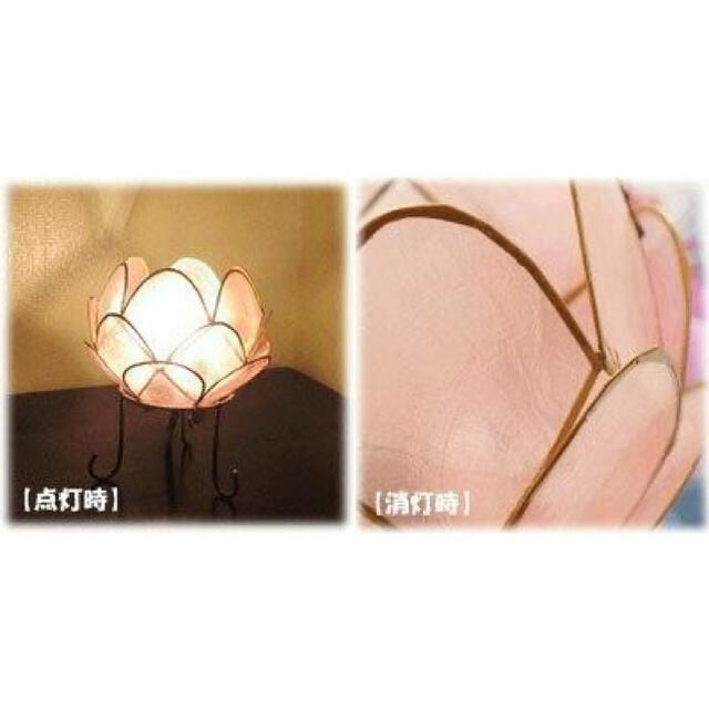 カピスロータスランプS ピンク  インテリア/住まい/日用品のライト/照明/LED(その他)の商品写真