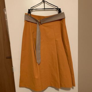 プロポーションボディドレッシング(PROPORTION BODY DRESSING)のはな様用PROPORTION BODY DRESSING スカート(ひざ丈スカート)