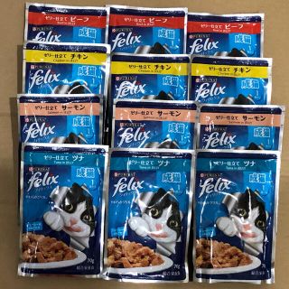 ネスレ(Nestle)のフィリックス 成猫用ウェットフード ゼリー仕立て4種12点セット felix(ペットフード)